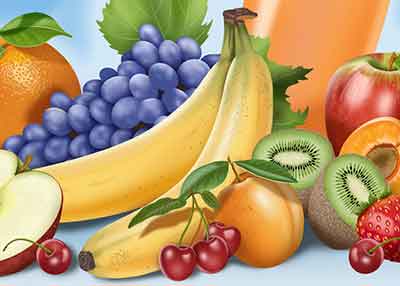 Realistic Food Illustrator - Freelance Illustrator for Hire realistic food illustrator - freelance illustrator for hire